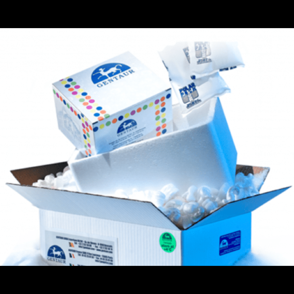 Hieff NGS® Ultima Dual-mode mRNA Library Prep Kit-96T