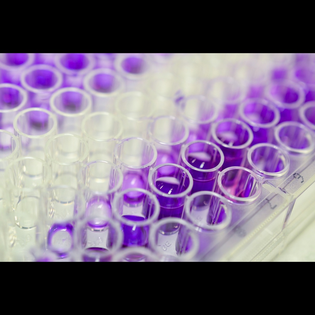 Mouse Caspase 9 ELISA, 96 test